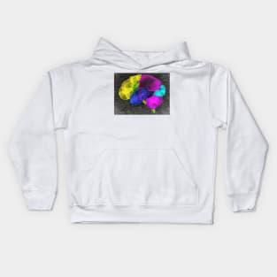 Brain Kids Hoodie